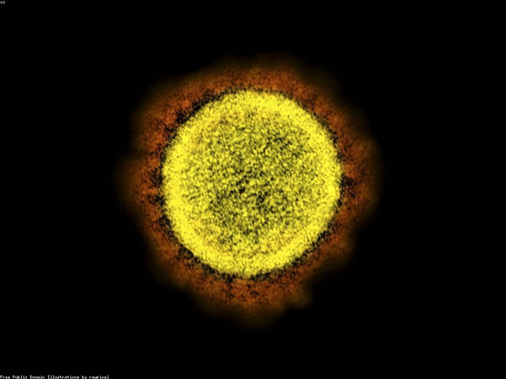 ការពារសុវត្ថិភាព: មូលដ្ឋាននៃការពារទៅលើសុវត្ថិភាពរបស់អ្នក